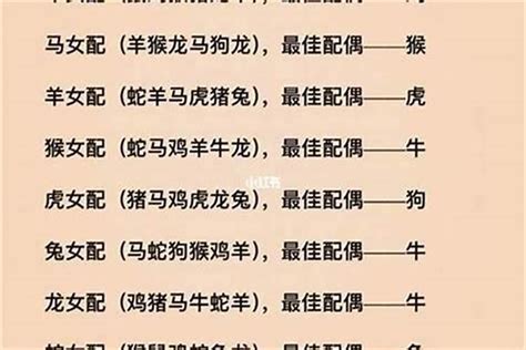 1992 年 生肖|1992年属什么生肖配对 1992年和什么属相最配